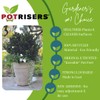POTRISERS 80 Piece | Value Pack | Small 1" x