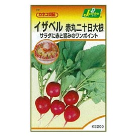 kaneko種苗 Gardening Seeds KS200 Series Isabel red-ring, Double Criss Cross Days Radish Vegetables 200 291