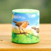 Freak Scene Animal Voices Sound Box - Bird - Birds
