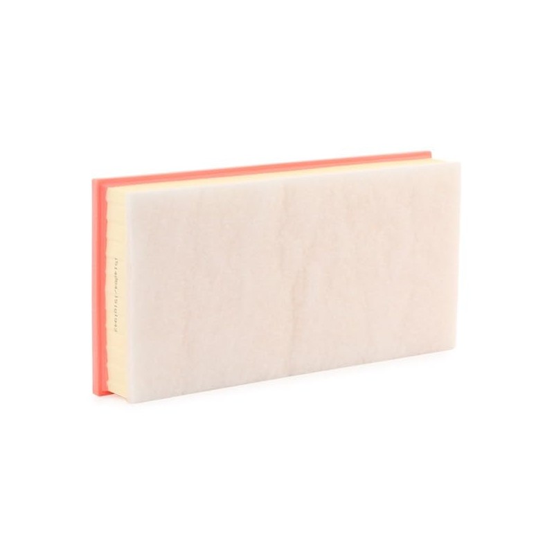 RIDEX 8A0998 Engine Air Filter Insert with Pre-Filter