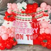 She's The Cherry on Top Baby Shower Balloons for Girl