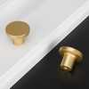 LONTAN 4 Pack Cupboard Knobs Gold Door Knobs and Handles