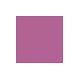 Stargazer Products Semi-Permanent Lip Liner Number 2 1 ml