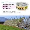 Domoto Foods Takuan Konbu Flavor, 2.5 oz (70 g) x