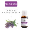 Arbora Aceite Esencial De Lavanda 100% Puro Difusor Aromaterapia
