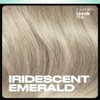 Clairol Blonde It Up Crystal Glow Toner Kit - Iridescent