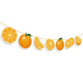 Kristin Paradise Orange Fruit Happy Birthday Banner, Berry Sweet Party Sign, Little Cutie Theme Decorations, Summer Citrus Boy Girl Baby Shower Supplies, Clementine Bday Kids 1st First Decor