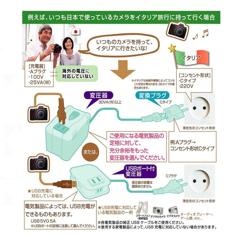 カシムラ 海外用薄型2口変圧器 USB 110-130V/120VA NTI-113