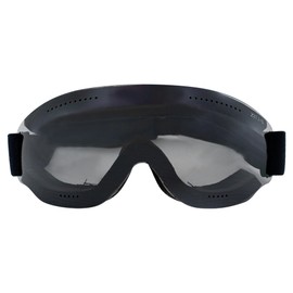 Birdz Eyewear - anteojos deportivas para snowboard, paracaidismo, motocicleta, equitación, correa ajustable, marco negro con lente ahumada (humo)