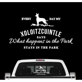 Siviwonder Xoloitzcuintle Vintage Dog Sticker Dog Motif Car Film Naked Dog Xolo Colour White Size 20 cm