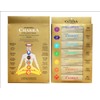 Ayurvedic 7 Chakra Incense Sticks Collection Set | Natural and