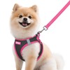 rabbitgoo Dog Harness Small Sized and Leash Set, Step-in Breathable