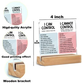 Mental Health Desk Decor Things I Can Control Acrylic Sign, Inspirational Gifts for Women Men Coworkers, Therapist Office Art Decor for Desk Gadgets Table Top Cubicle Living Room Bedroom Decorations 2