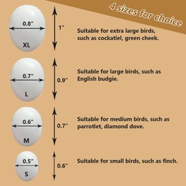 Solid Plastic Eggs - Parrot Bird Hatching Replacing Eggs for Guiding Birds to Stop Laying, 10 PCS (S)