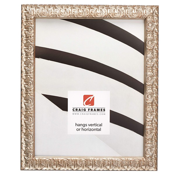 Craig Frames Versailles, 19x23 Picture Frame, Ornate Silver
