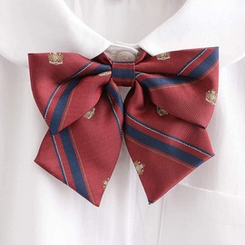 SHUCLASS School Ribbon and Necktie, Set of 2, Ribbon for Girls School Uniform, For Junior High School Students, High School Students, winered