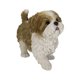 Uvia Shih Tzu Walk Out Brown White 8.9 x 3.9 x 6.6 inches (22.5 x 10 x 16.8 cm) Doll Figurine Figurine Animal Garden Decoration Dog Dog H23327
