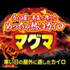 Super Warm Warming Warmer, Magma, Stick on Socks, 3 Pairs,