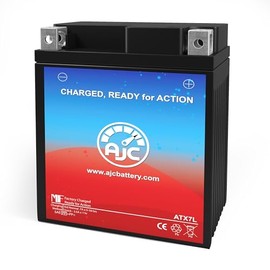 AJC Battery Compatible with Honda CA125 Rebel 125CC Motorcycle Battery (1995-1997)
