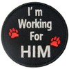 Service Dog I'm Working for Him Vests/Harnesses Emblem Embroidered Fastener