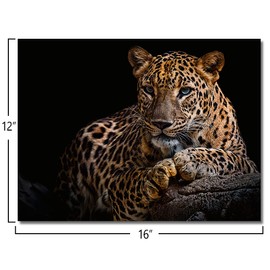 Leopard Canvas Prints Black Background Golden Wildlife Animal Leopard Wall Art Cheetah Pictures Artwork for Bathroom Bedroom Office Living Room Hallway Paintings Decorations Ready to Hang 12x16"