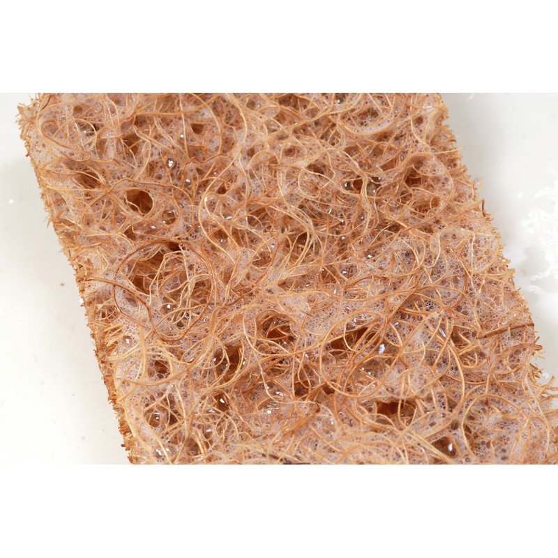 Safix Coconut Fibre Scrub Pad, Large, 0.335 milliliters