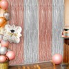 Silver & Rose Gold Foil Fringe Curtain Pair