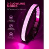 Weesiber Light Up Dog Collar, USB Rechargeable LED Dog Collar