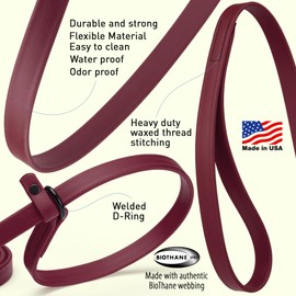Dogline Biothane Slip Dog Leash - for Small, Medium and Large Dogs - Odor Free Slip Lead, Heavy Duty and Durable Material Kennel Lead - Berry - 5ft L x 3/8in W