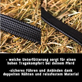 Pferdelinis Halter for Warmblood, Thoroughbred, Cold Blood, Pony - Stable Headcollar, Pasture Headcollar, 2-Way Adjustable Pin Buckles, Safe and Tear-Resistant (Black, Warmblood (Full))