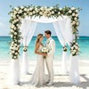 2 Pack 12FT Artificial Eucalyptus Flower Garland with 6 Champagne