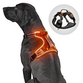 BiPawTi LED Light Up Dog Harness for Safety Night Walking, Glow in The Dark Soft Mesh Dogs Vest Lighted USB Rechargeable - Reflective/Illuminated No Pull Dog Vest Harness for Small Dogs (Orange, S)