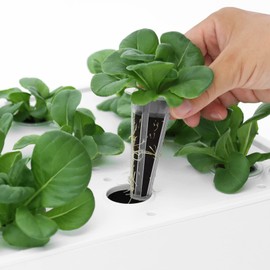 iDOO Growth Sponges 60 Pcs, Replacement Hydroponics Sponges Compatible with AeroGarden LYKO and All Indoor Hydroponics Growing System Indoor Garden (Except ID-IG201) Hydroponics Supplies