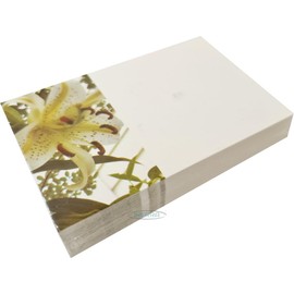 INERRA Florist Message Cards for Flower Bouquets - Small Greeting Card - Pack of 50 (Cream Lily)