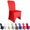 Time to Sparkle 4 Pack Chair Covers Spandex Lycra Stretch
