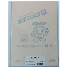 LINTEC Color Painting Paper, Gokra New Color R, A4, Hadairo, 50 Sheets NO103