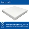 FoamRush (4 Pack 2" H x 21" W x 21"