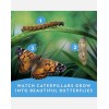 National Geographic STEM Butterfly Growing Kit with Habitat, Feeder, and