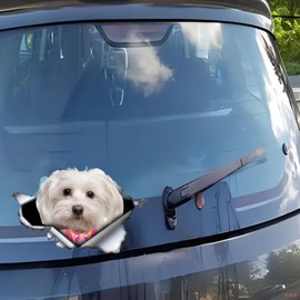 Car Sticker Maltese Sticker 18 cm (7.1 Inch) Maltese with Pink Bow 3D Ripped Car Sticker Funny Maltese Reflective Sticker Bumper Waterproof Funny Decor