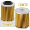 Anxingo 2 Pcs 21040111601 Oil Filter, Replacement for ODES Cartridge