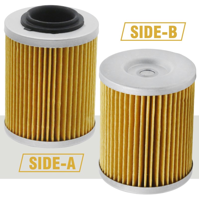 Anxingo 2 Pcs 21040111601 Oil Filter, Replacement for ODES Cartridge