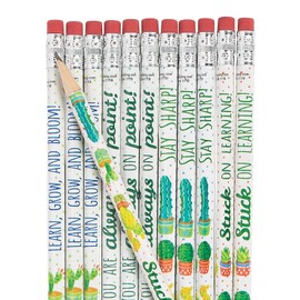 Fun Express Cactus And Succulents Pencils - 24 Pieces - Educational And Learning Activities For Kids