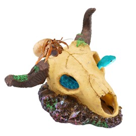 Snake Hideout, Reptile Aquarium Skull Decor, Resin Skeleton Head Fish Hide, Tank Terrarium Aquarium Accessories, Reptile Hides and Caves for Fish Bearded Dragon Salamander Ball Python Leopard Gecko