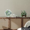Kathfly 8 Pcs Mini Acrylic Adjustable Glass Display Stands Easel