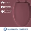 Bemis Classic Colors Slow Close Toilet Seat, Easy Clean Hinges