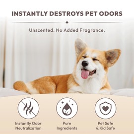 Unscented Pet Odor Eliminator Spray for Home - Dog & Cat Odor Remover - Urine, Litter Box & Carpet Deodorizer | Non-Toxic, Fragrance-Free, Pet-Safe Air Freshener | No Enzymes, No Masking (10.1 Fl Oz)