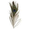 RAYHER – 25 cm – Set of 3 – Peacock