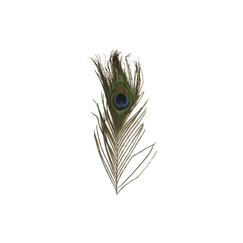 RAYHER – 25 cm – Set of 3 – Peacock