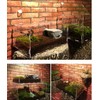 CiCixixi Transparent Acrylic Terrarium, 360° View, for Reptiles and Insects,
