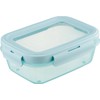 リス リベラリスタ 保存容器 フードコンテナ 1050ml ロック L スカイブルー